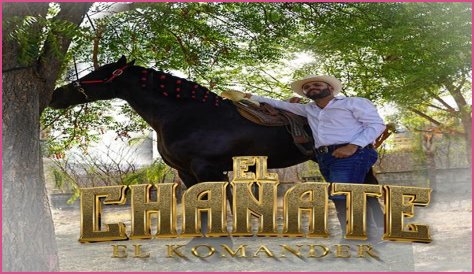 Lyrics & Translations of El Chanate by El Komander